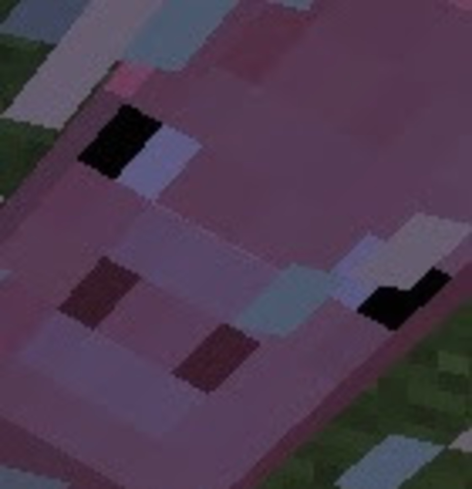 Meet your Posher, Sam slayer